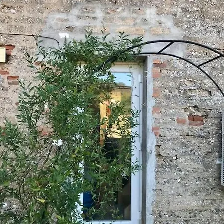 Avec Jardin Coufouleux